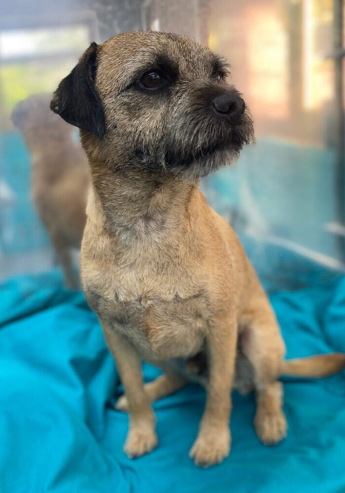 Tails of Mersea Gallery_1