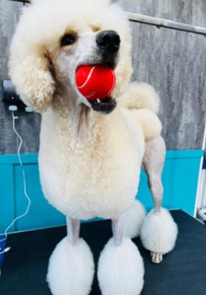 Tails of Mersea Gallery_2