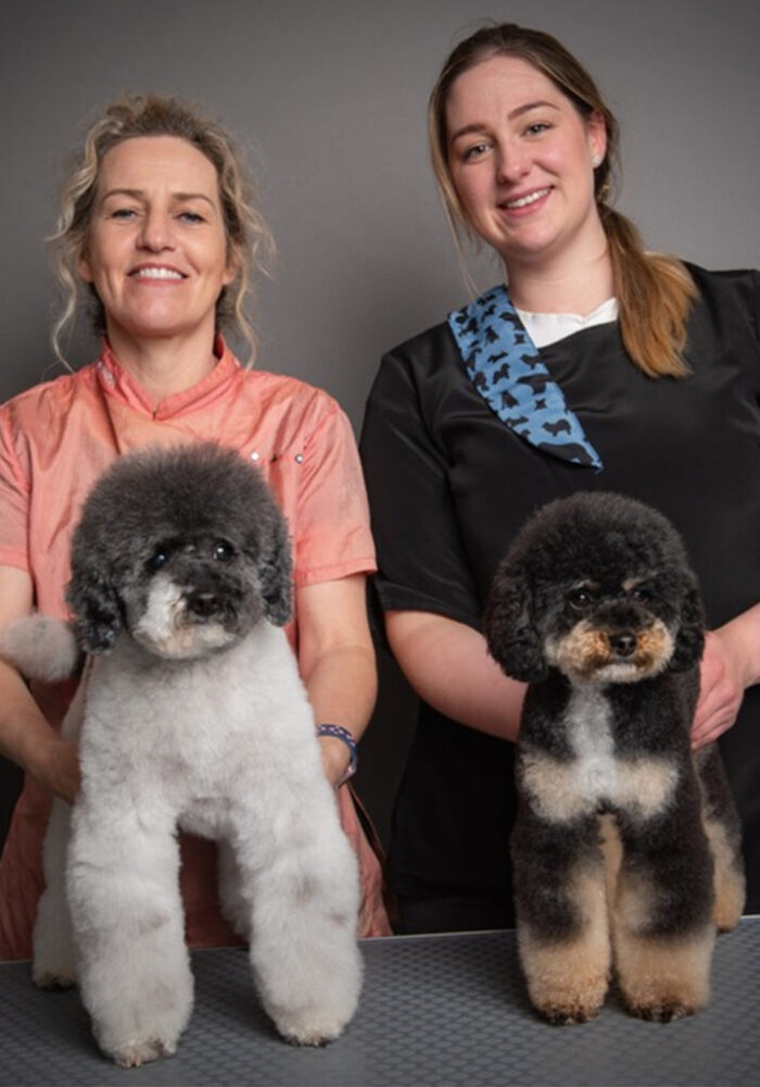 Tails of Mersea Gallery_5