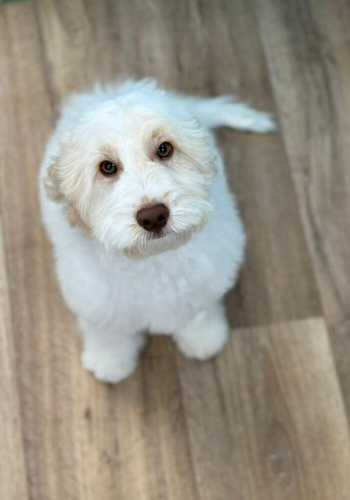 Tails-of-Mersea-Gallery_7