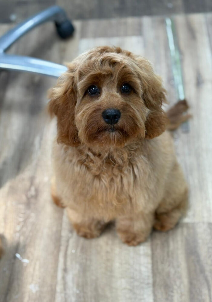 Tails-of-Mersea-Gallery_8