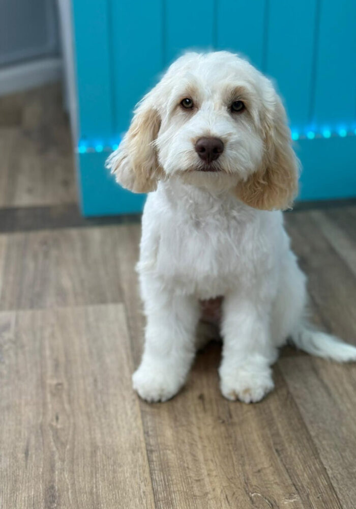 Tails-of-Mersea-Gallery_9